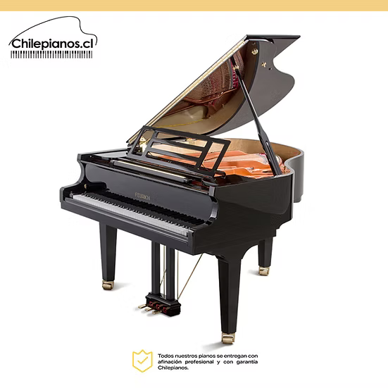 Feurich Mod. F162 Dynamic I - Para Importación