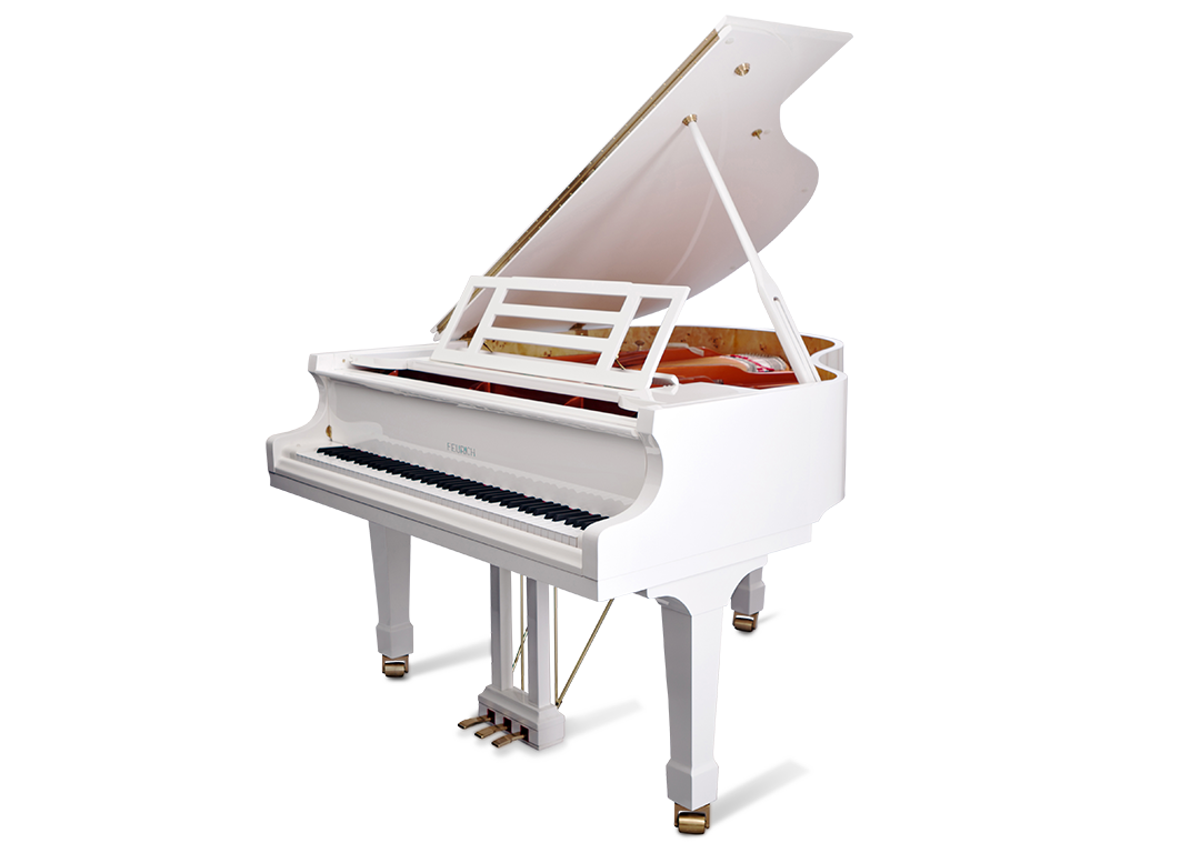 Feurich Mod. F162 Dynamic I - Para Importación