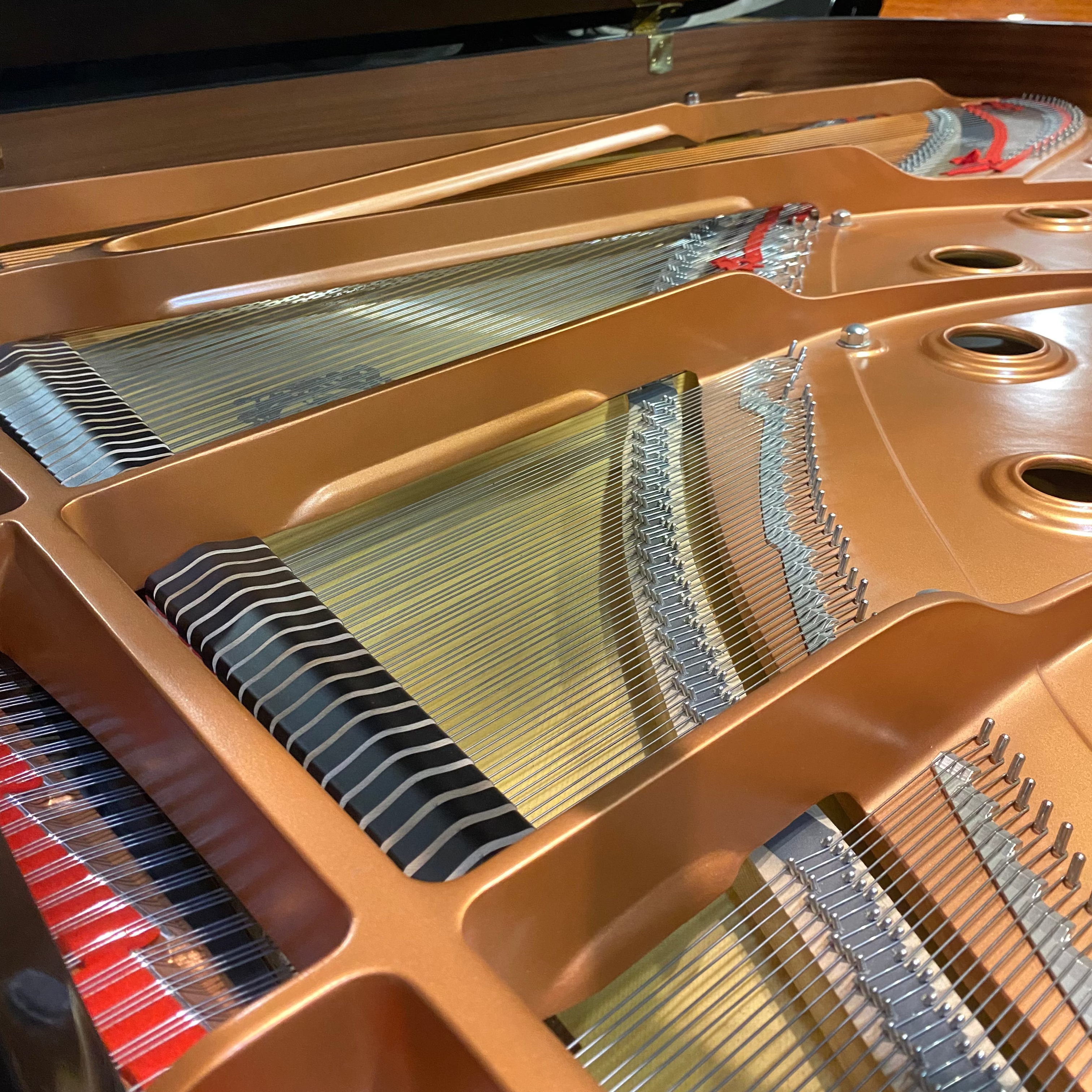 Yamaha C6X Disklavier Silent System