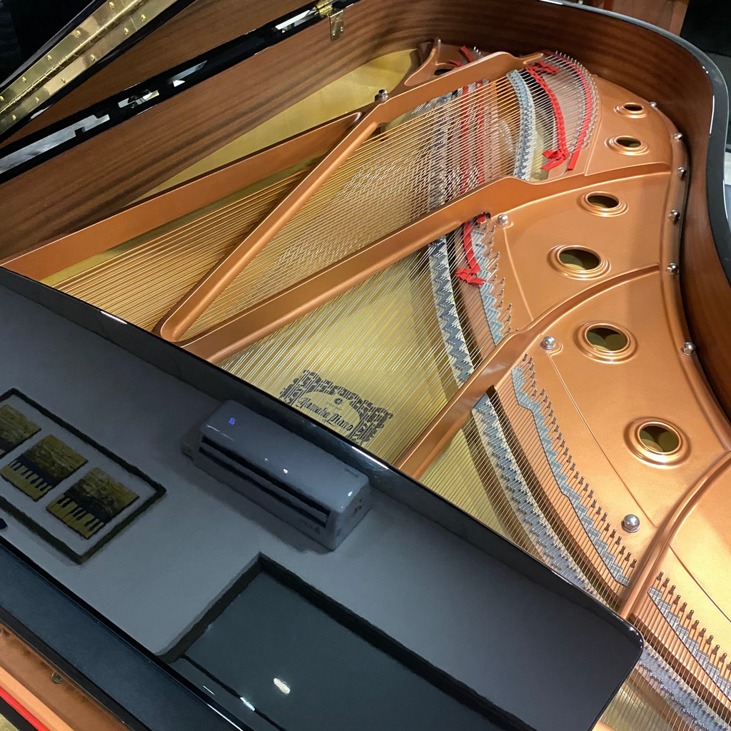Yamaha C6X Disklavier Silent System
